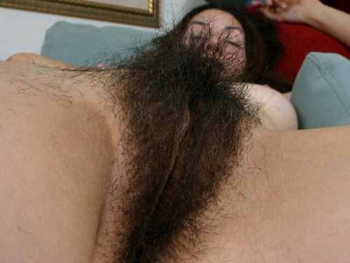 Very hairy pussy close