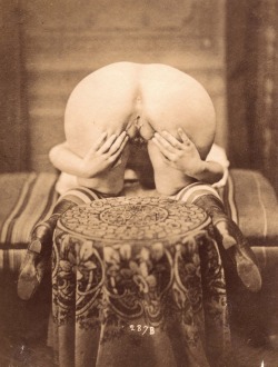 amalgammaray:  The Origin of the World II, c.1880-1890?, Photographer: Unidentified (clandestine photography), Albumen paper not laminated, 136 x 105 mm “Very nice test, rare and perfectly mixed.”