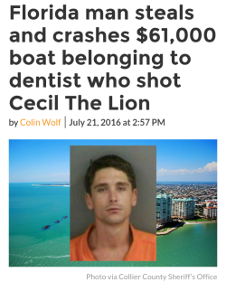dickpunisher:  Florida Man comes through with direct action. Good job comrade. 