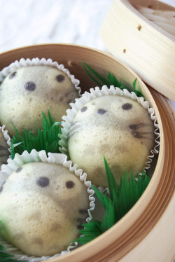 gothiccharmschool:  Someone please make these for me. Please? Via chipcococafe: Steamed Totoro Cupcakes with recipe (spanish)  Totoro cakes! Must do this if we ever have another anime party.