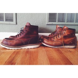 coloradopeaches:  2 year old #redwing 875s &amp; a new pair of 1907s. #redwingheritage