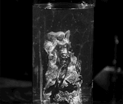 Bride of Frankenstein (1935) 