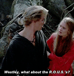 hug-bubble:  vintagegal:  The Princess Bride (1987) dir. Rob Reiner   HOW CAN ANYBODY NOT LOVE THIS MOVIE 