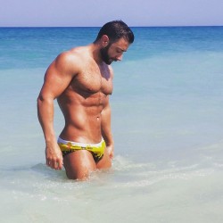 lumbrjax:  Posted by @franmanent on Instagram http://ift.tt/1ef4NJd “Amazing early summer with @littlerokoriginal 💥👊🐺👊💥#littlerok #amazing #swimsuit #sun #muscle #malemodel #menphyshique #bad #hero #hunk #mateofthemonth #beard #italian