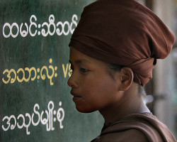 allasianflavours:  brown nun w burmese script by Sara Heinrichs (awfulsara) 