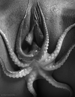 Octopussy by Vlad Gansovsky