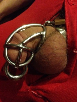 confessionsofahoodedbottom:  My cock is in long-term chastity, held in with a 0 gauge PA. This keeps me permanently horny, ready to bottom at any time.