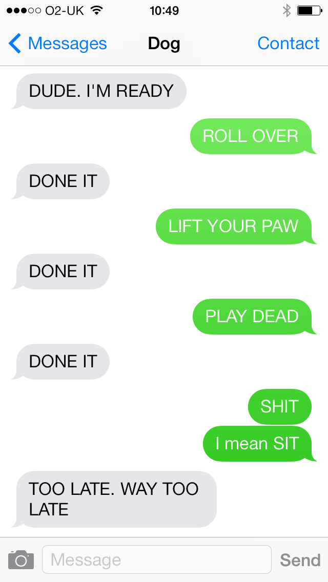 Funny text messages from dog