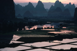 20aliens:  CHINA. Gaotian. Guilin. 1979. The morning glow in the region of abundance. Around April, when the rice must be transplanted in the fields, the villagers get up before dawn and lead the water buffalo to the fields. By Hiroji Kubota 