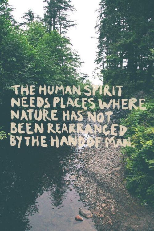 quotes for nature tumblr Quotes About Hiking. And Camping QuotesGram