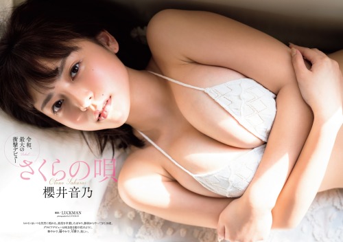 kyokosdog:Sakurai Otono 櫻井音乃, Weekly Playboy 2021.04.12 No.15歳/Age: 19身長/Height:?B? - W? - H?Twitter: @oto_178sInstagram: @oto_178s