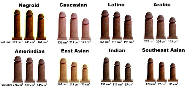Asian average penis size