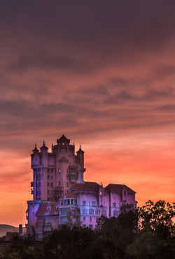 disneysoul:Tower of Terror from the Parking Lot by Chris Smith