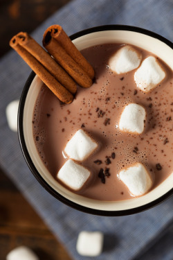 delectabledelight:   Gourmet Hot Chocolate Milk (by brent.hofacker)  