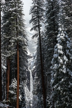 r2–d2:  Lower Yosemite Falls, Winter by (tanngrisnir3) 