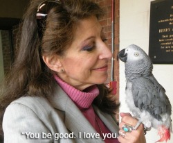 Famous last words (what Alex, the African grey parrot, said to his owner Irene Pepperberg before he died in 2007 &hellip; Alex was famous for his ability to count and identify colours)