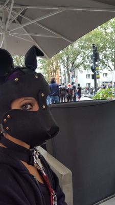 pup-rin:  doggy-girl-chilli: Very shy nervous puppy girl this morning at folsom berlin! Have fun!!!! ❤❤❤ you look fantastic!!! 