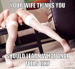 Your wife thinks you.. Shoul learn what anal feels like&hellip;