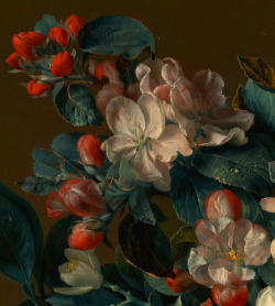 laclygrantham:  Vase of Flowers (details), 1722. Jan van Huysum
