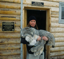 purrinces:t-ardigrades:wigmund:  pinkrocksugar:  stunningpicture:  LOOK AT ITS BIG FOOTERS  IMAGINE THE TOE BEANS ON THIS BABBY  (main image source) Lynx footsies are mostly floof  He can’t have too much bean, he lives in the chilly zone. He’ll get
