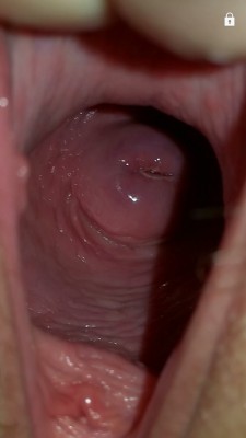 xkillacamx:  A nice view inside her spacious cum dumpster. Damn that’s a big pussy! : )