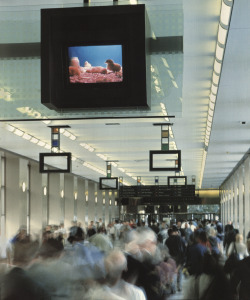 avtavr:  Paul PfeifferOrpheus Descending2001Video installation.World Trade Center and World Financial Center,April 15—June 28, 2001. 