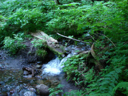 90377:    Lost Creek by yunckette  