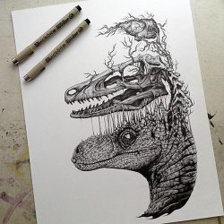 psycho-delic-cunt:  awesome-picz:    Animals Leave Their Skeletons Behind In Stunning Dark Drawings By Paul Jackson  was not expecting that turtle one