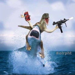 here&rsquo;s a pic of a velociraptor  riding a shark! come on Spielberg make it happen lol #jaws #jurassicpark