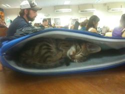 castiel-winchesterrrr:  catshaming:  fuckin-psych0:  how to bring your cat to school 101  how cute  do you go to school with young Bobby singer 