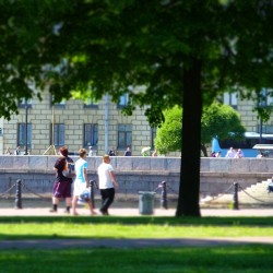 #City #life   #streetphotography #urban #tree #treeworld #trees #green #architecture #shadow  June 14, 2012  #summer #heat #hot #travel #SaintPetersburg #StPetersburg #Petersburg #Russia #СанктПетербург #Петербург #Питер #Россия