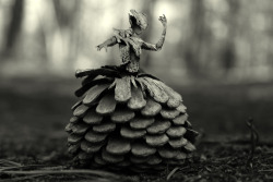 hitrecord:  &ldquo;Pine Cone Ballet&rdquo; REmix by JasonAngelone HERE on hitRECord == Contribute to the “PINE CONE BALLET” collab HERE! 