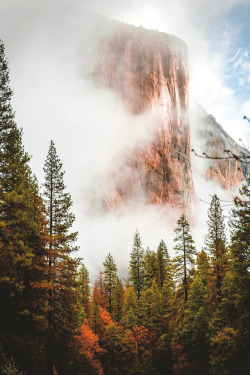 havingagoodvibes:  lsleofskye:  Up in the clouds 🌲🏔 | jguzmannn 🌞 Having a Good Vibes 🌞 The best self help book 📓 of the last several 👌 …. In the newly updated eBook edition 🔧 . 📥 ✔️ 👉 http://smarturl.it/SelfHelpEbook