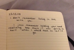 yournextmistakeee:  dumbdaisies:  &ldquo;I don’t remember falling in love with you.  I just remember holding your hand and realizing how much it was going to hurt when I would have to let go” Journal entry 11/12/14  damn