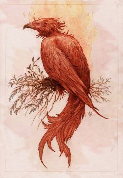 fuckyeahpaganism: In ancient Greek and Egyptian mythology, the phoenix is a mythical bird and associated with the Egyptian sun-god Re and the Greek Phoibos (Apollo). According to the Greeks the bird lives in Arabia, nearby a cool well. Each morning at