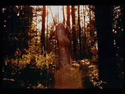 experimental-cinema:  experimental-cinema:   Wellspring (1990) film by Dmitri Frolov, experimental cinema https://vimeo.com/dmitrfrolov   #experimental cinema #dmitrifrolov 