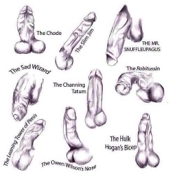 fill-me-up-blr:  straight-loads:  I’m addicted to “the channing tatum”, “The sad wizard” and “the mr. snuffleupagus” but I don’t discriminate anyone, ha!  which one is your favorite !?   Lol what is mine.