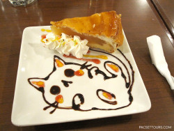 pacsettours:  Cute chocolate cat at the maid cafe!  =(•.•)=