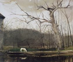 aizobnomragym: Andrew Wyeth “South Cushing” 