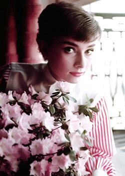 rareaudreyhepburn:  Audrey Hepburn May 4, 1929 - Jan 20, 1993  “To plant a garden is to believe in tomorrow.” - Audrey Hepburn 