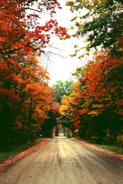 r2&ndash;d2: Autumn by (ZacharySnellenberger) | Follow on Tumblr 