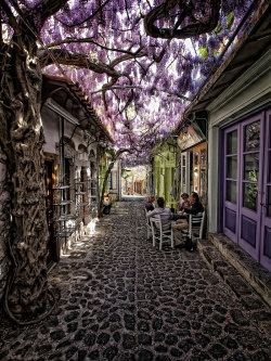 3llshepherd:  thisissurelytheend:boredpanda:15  Of The World’s Most Magical Streets Shaded By Flowers And Trees   
