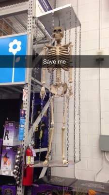 amazingsmoshisnotonfire7:  Another prisoner from the skeleton war 