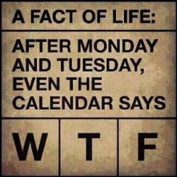 funnyand:  A fact of Life: A fact of Life: After Monday and Tuesday, even the calendar says WTF.. 