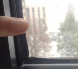 hannibalspastrychef:  I FEEL CHOSEN BY THE GODS OF THE COLD AND ICE FOR I HAVE BEEN GIVEN A TEENY SNOWFLAKE ON MY WINDOW 