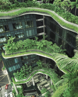 thedesigncollector:  Urban jungle