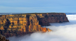 ponderosa-pining:  jedavu:  Temperature Inversion Causes the Grand Canyon to Flood with Clouds For the video click here   Not fair