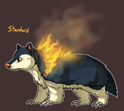 tjsauce:  I could have probably come up with more probably but it originally just started out with badgers?? I forgot to do honey badger but i’ll do that one later probably. Anyways enjoy some fiery badgers that barely look like actual typhlosions