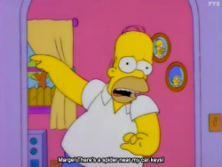 homer i dont drink anymore