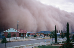 1000scientists: Dust Storm, 1968 Sydney Oats 